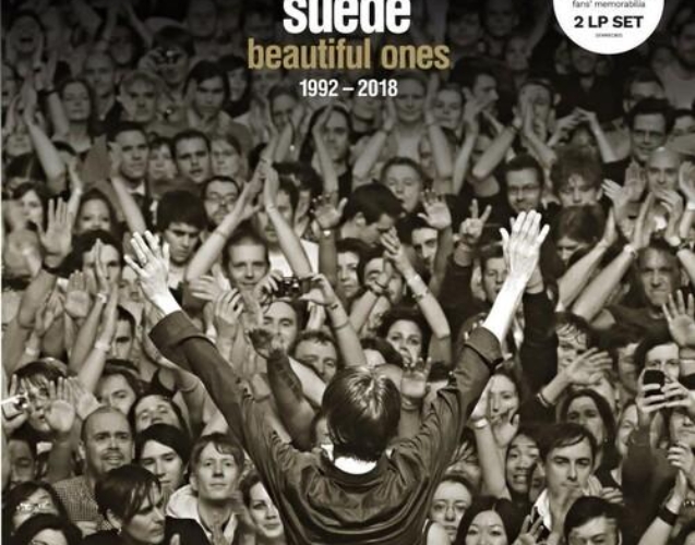 3850920-2597067_500x500